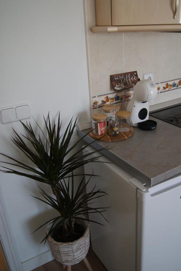 Apartamento Penas Blancas, Junto A Ruta De Los Cahorros, Monachil. 외부 사진